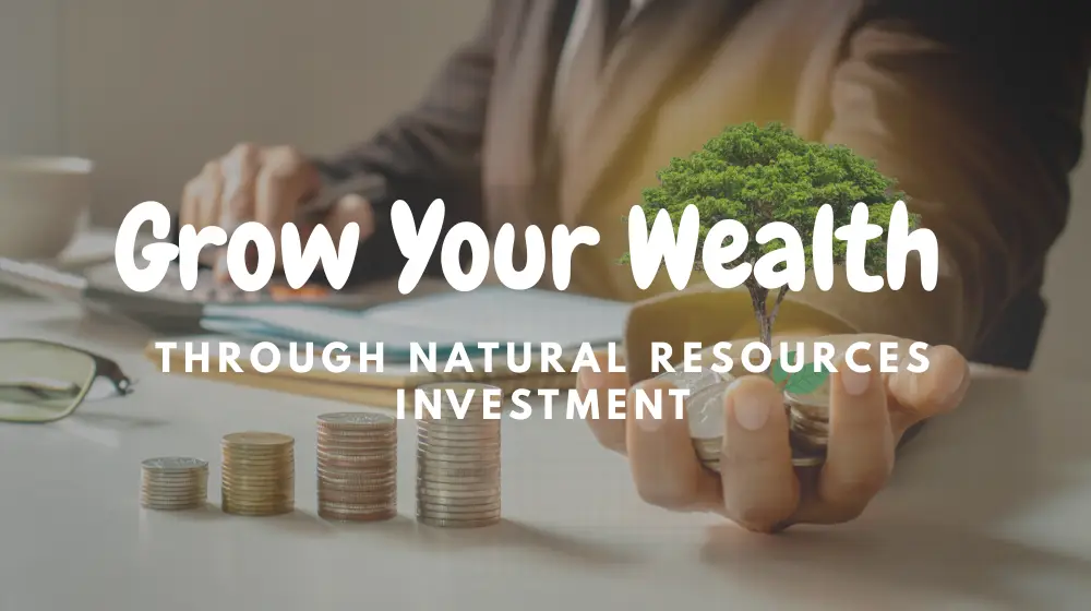 Investing in natural resources in 2025 to grow your wealth with gold, metals, energy, and sustainable assets